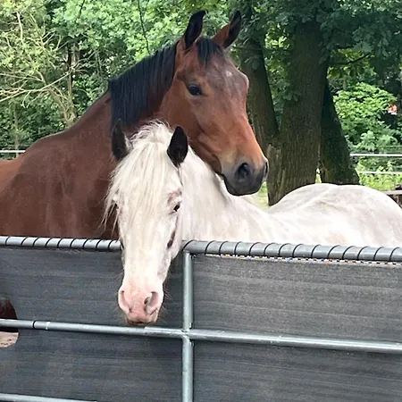 Gemütliche Mit Eigenem Garten Auf Dem Lohoff Schneverdingen