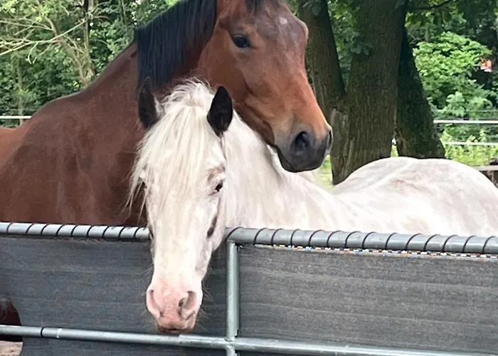 Gemütliche Mit Eigenem Garten Auf Dem Lohoff Schneverdingen